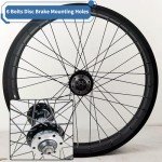 20" Fat Bicycle Front Wheel - 4.0" Tire, Aluminum Alloy, Quick Release 9x135mm 36H Hub, 6 Bolts Disc Brake for E-Bike, Snow and Beach Bikes