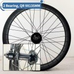 20" Fat Bicycle Front Wheel - 4.0" Tire, Aluminum Alloy, Quick Release 9x135mm 36H Hub, 6 Bolts Disc Brake for E-Bike, Snow and Beach Bikes