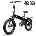 ZOONLAI Electric Bike for Adults 750W Motor Foldable Bikes Up to 24 MPH Long Range Ebike for Adult 48V Removable Battery 20" Fat Tire 5 Speed Modes EBike ZL2006 City Urban Commuting Bicycles (Black)