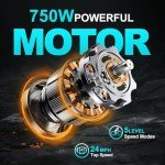 ZOONLAI Electric Bike for Adults 750W Motor Foldable Bikes Up to 24 MPH Long Range Ebike for Adult 48V Removable Battery 20" Fat Tire 5 Speed Modes EBike ZL2006 City Urban Commuting Bicycles (Black)