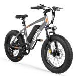 Qlife Racer Fat tire Electric Bike for Adults - 28MPH Mountain Ebike with Peak 1000W Brushless Motor, 499Wh Removable Battery, 20X4.0 Tire Step Over E-MTB with 7-Speed Grey