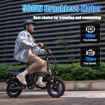 Electric Bike for Adults, Folding Electric Bike, 500W Motor, Up to 20/25 MPH and 20/30 Miles Long Range, 48V 10AH/13AH/15AH Removable Battery, Electric Mini Bike, UL 2849 Certified