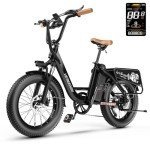 1500W Peak Electric Bike for Adults, 48V 20Ah Removable Battery Max Range 80Miles & 30MPH Electric Bicycle, 20''×4.0" Fat Tire Ebike,Fast Cargo Ebikes,Commute Mountain Step Thru E-Bike