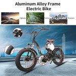 NAKTO 20" Electric Bike for Adults, Fat Tire E-Bike with 1000W Powerful Rear Hub Motor and Dual Disc Brakes, Folding Electric Bicycle with 48V 12AH Removable Battery, UL2849 Certificated