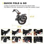 NAKTO 20" Electric Bike for Adults, Fat Tire E-Bike with 1000W Powerful Rear Hub Motor and Dual Disc Brakes, Folding Electric Bicycle with 48V 12AH Removable Battery, UL2849 Certificated