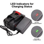 SHINTYOOL 21v Lithium Battery - 4.0 Ah Battery with Charger Adapter Led Indicator Compatible with Leaf Blower