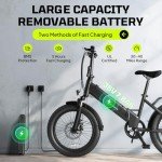 TST Folding Electric Bike for Adults, 1000W Peak Motor EBike with 36V 7.8Ah Removable Battery, Max Range 40 Miles 25 MPH Electric Bicycle, 20" Fat Tire All Terrain E Bike with Rear Rack