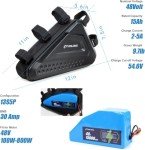 VISET LI 48V 15Ah Ebike Battery with Case, 36V 48V 52V 12Ah 15Ah 20Ah Electric Bike Scooter Lithium Battery, 54.6V 2A Charger and BMS for 200W 600W 800W 1000W Motor