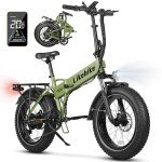 Cityfun Folding Electric Bike Adults,500W Motor (Peak 720W) Ebike with 20" x 4.0" Fat Tire,48V 10.4Ah Removable Battery Hidden,Electric Mountain Bike,UL 2849 Certified,Commuting E-Bike,7-Speed