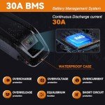 LGECOLFP 48V 15Ah Ebike Battery Pack with USB Port 3A Fast Charger 30A BMS for 48V Controller 250W-1000W Motor