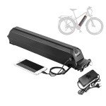 (3-7 Days delivery) 48V 13Ah 17.5Ah Reention Dorado Plus e-Bike Battery Pack for e-Bike Removable Lithium Battery Power 624Wh 840W with 30A BMS and Charger (48V 13Ah)