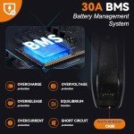 LGECOLFP 36V 10Ah Ebike Battery Pack with 3A Fast Charger USB Port 30A BMS for 36V Controller 250W 350W 500W 750W Motor