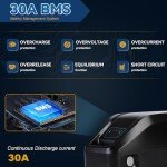 LGECOLFP 36V 10Ah Ebike Battery Pack,Electric Bike Lithium Battery for 0-750W Electric Bike with 3A Fast Charger and 30A BMS,USB Port,LED Indicator,Safety Lock