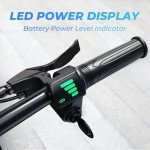 WINDHORSE 16" Folding Electric Bike for Adults, 630W Peak Power, 25MPH, 35-Mile Range, 288Wh Removable Battery with Lock, Dual Disc Brake, 2 Seat Ebike for Commuter (White)