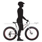 Mongoose Malus Mens and Womens Fat Tire Mountain Bike, 26-Inch Bicycle Wheels, 4-Inch Wide Knobby Tires, Steel Frame, 7 Speed Drivetrain Bicycle, Shimano Rear Derailleur, Disc Brakes, Silver/Yellow