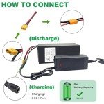 Ebike Battery 36V 10AH Lithium ion Battery Pack with 3A Fast Charger,20A BMS for 0-500W Motor
