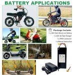 Ebike Battery 36V 10AH Lithium ion Battery Pack with 3A Fast Charger,20A BMS for 0-500W Motor