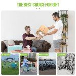 BAFANG 750W Mid Drive Kit, 8Fun BBS02B 48V750W Mid Drive Ebike Conversion Kit with LCD Display & Chainring, Electric Brushless Bike Motor Motor para Bicicleta for BB 68-73mm MTB,Trike,Citybike