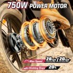 Windone K2 Electric Bike for Adult,Ebike for Adults with 750W Power Motor,48V13Ah UL Certified Battery,All Terrain 20" Fat Tire Electric Bike Up to 28MPH&46.6Miles Range with Double Seat,Urban E-Bike