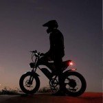 Ridstar 1000W 30MPH Fat Tire Electric Motorcycle with Removable 48V20Ah Battery and Full Suspension