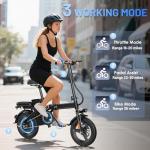 E14 Electric Bike for Adults 500W Motor, Folding Ebike 14" Adults Electric Bicycles, 48V 13Ah Removable Battery UL 2849 Certified, 25 Miles PAS Range, Mini E Bikes for Teens (E14 Black)