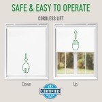 CALYX INTERIORS Blackout Roller Shades, Thermal Insulating Blinds, Cordless, 22.5" W x 48" H, White