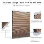 MYshade Blackout Cordless Cellular Shades Honeycomb Shade for Indoor Windows Room Darkening Blinds for Home Office Pull Down Window Shades Easy to Install 24 inch Wide, H50 Light Brown Pleated Shade