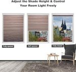 MYshade Blackout Cordless Cellular Shades Honeycomb Shade for Indoor Windows Room Darkening Blinds for Home Office Pull Down Window Shades Easy to Install 24 inch Wide, H50 Light Brown Pleated Shade