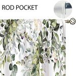 oolygoo Eucalyptus Botanical Leaves Floral Kitchen Window Curtains Over Sink Boho Farmhouse Flower Leaf Small Window Treatment Sage Green Cafe Short Curtains for Bathroom Tier Drapes 27.5x39 inch