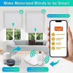 Allesin Motorized Roller Blinds with Remote Control for Windows, Blackout Smart Roller Shade, Battery Powered Electric Smart Blinds, for Living Room, Bedroom, Office (White,H72 x W30)