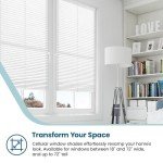BlindsAvenue Cellular Honeycomb Cordless Shade, 9/16" Single Cell, Light Filtering, (White, 24" W x 48" H)