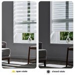 Persilux Cordless Zebra Blinds for Windows Free-Stop Roller Windows Shades (24" W X 72" H, White) Dual Layer Light Control for Day and Night, Light Filtering Sheer Shades for Home, Easy to Install