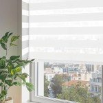ChrisDowa Cordless Zebra Blinds for Windows, Dual Layer Free-Stop Light Filtering Window Roller Shades, Pull Down Privacy Zebra Shades for Home, Office, Bedroom, Door (20" W x 72" H, White)