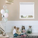 Sunoff Blackout Roller Shades Blinds Cordless for Windows Pull Down Room Darkening Door Blinds with Thermal Insulated Easy to Install for Living Room,Bedroom,Home,Office Bathroom White 34" W x 72" H