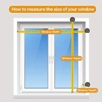 Persilux Cordless Zebra Blinds for Windows Free-Stop Roller Windows Shades (24" W X 72" H, White) Dual Layer Light Control for Day and Night, Light Filtering Sheer Shades for Home, Easy to Install
