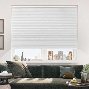 Allesin Cellular Shades Cordless Blackout Honeycomb Blinds for Indoor Windows, Thermal Insulated Window Shades Noise Reduction, Easy to Install, Perfect for Bedroom/Living Room, White - H64 x W36