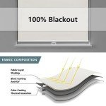 AOSKY Cordless Roller Shades Blackout Blinds for Windows Room Darkening Rolled Up Shades with Spring System, UV Protection Window Shades Door Blinds for Home and Office (23" W x 72" H, Ivory)