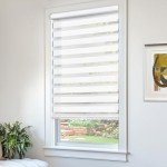 CHICOLOGY Zebra Blinds , Roller Window Shades , Blinds for Windows , Roller Shades for Windows , Window Shades for Home , Window Shades , Pull Down Shades for Windows , 35"W X 72"H , Basic Arctic