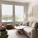 CHICOLOGY Zebra Blinds , Roller Window Shades , Blinds for Windows , Roller Shades for Windows , Window Shades for Home , Window Shades , Pull Down Shades for Windows , 35"W X 72"H , Basic Arctic