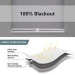 AOSKY Cordless Roller Shades Blackout Blinds for Windows Room Darkening Rolled Up Shades with Spring System, UV Protection Window Shades Door Blinds for Home and Office (23" W x 72" H, Grey)