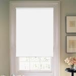 Joydeco White Cordless Roller Shades, Spring Roller Blackout Window Blinds with UV Protection, Room Darkening Window Shades and Door Blinds for Home and Office (28" W x 75" H, White)