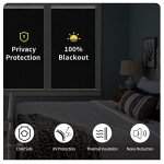 GENIMO 100% Blackout Roller Window Shades, Window Blinds Cordless with Thermal Insulated, UV Protection Fabric, Mini French Door Blinds for Home, Office, Bedroom, Easy to Install, Grey, 10" W X 75" H