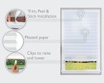 Redi Shade No Tools Original Light Filtering Pleated Paper Shade White, 36" W x 72" L, 6 Pack