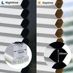 LazBlinds Cordless Cellular Shades, No Tools No Drill Blackout Honeycomb Shades Pleated Blinds for Windows, 34" W x 64" H, Silver White