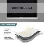 AOSKY Cordless Roller Shades Blackout Blinds for Windows Room Darkening Rolled Up Shades with Spring System, UV Protection Window Shades Door Blinds for Home and Office (23" W x 72" H, Black)