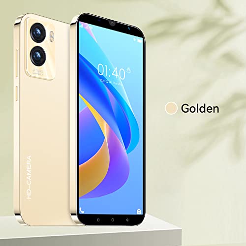 Cheap 2SimOk Smartphone with 5.0 inch IPS Display