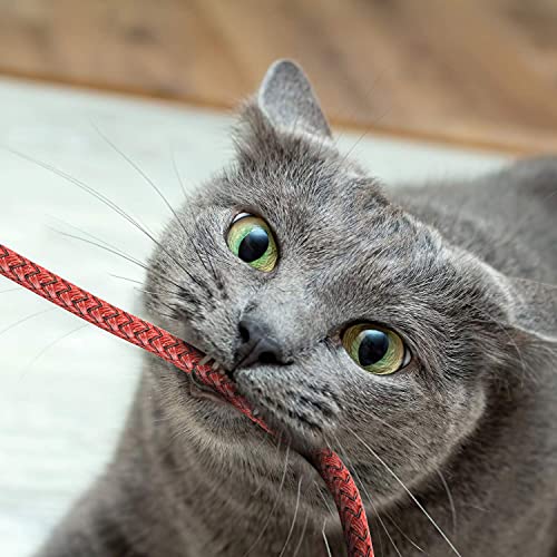 iPhone Charger Cable, Lightning Cable 3Pack 6FT/1.8M iPhone Charger Braided Long iPhone Charger Lead USB Fast Charging Cable Compatible with iPhone 11/Pro/Xs Max/X/8/7/Plus/6S/6/SE/5S iPad and More