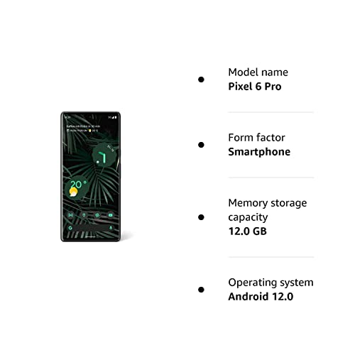 Google Pixel 6 Pro- Dual Sim (e- sim) - Stormy Black 128GB Unlocked (Renewed)
