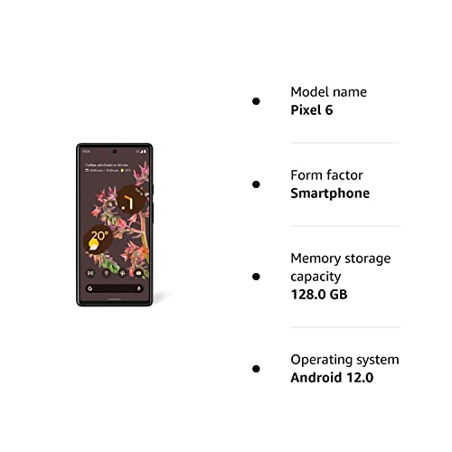 Google Pixel 6 - Dual SIM (e-sim) 128GB, 8 GB RAM, 5G Stormy Black Unlocked (Renewed)