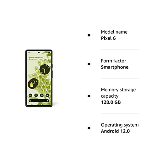 Google Pixel 6- Dual SIM (e-sim) 128 GB, 8GB RAM, 5G Sorta Seafoam Unlocked (Renewed)